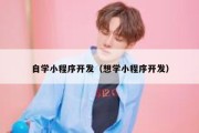自学小程序开发（想学小程序开发）