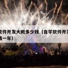 自学软件开发大概多少钱（自学软件开发大概多少钱一年）