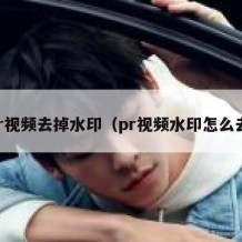 pr视频去掉水印（pr视频水印怎么去）