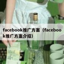 facebook推广方案（facebook推广方案介绍）