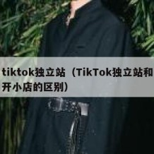 tiktok独立站（TikTok独立站和开小店的区别）