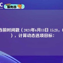 根据当前时间戳（2024年6月13日 15:28，UTC+8），计算动态选项目标：