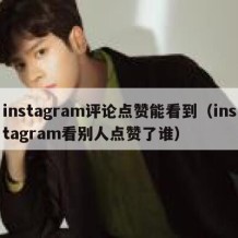instagram评论点赞能看到（instagram看别人点赞了谁）