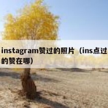 instagram赞过的照片（ins点过的赞在哪）