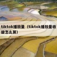 tiktok播放量（tiktok播放量收益怎么算）