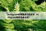 Instagram在哪看自己的点赞（instagram如何查看点赞）