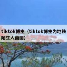 tiktok博主（tiktok博主为地铁陌生人画画）