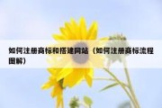 如何注册商标和搭建网站（如何注册商标流程图解）