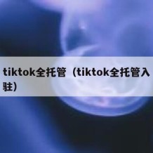 tiktok全托管（tiktok全托管入驻）