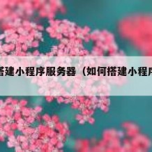 如何搭建小程序服务器（如何搭建小程序服务器端）