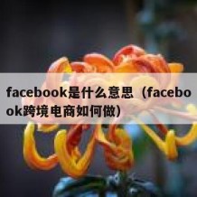 facebook是什么意思（facebook跨境电商如何做）