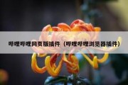 哔哩哔哩网页版插件（哔哩哔哩浏览器插件）