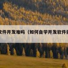 自学软件开发难吗（如何自学开发软件需要学什么）