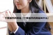 下载插件的网站（下载插件的网站叫什么）