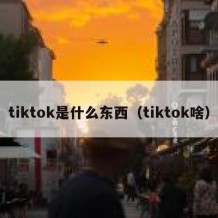 tiktok是什么东西（tiktok啥）