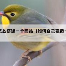 自己怎么搭建一个网站（如何自己建造一个网站）
