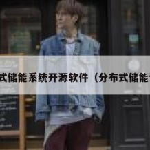 分布式储能系统开源软件（分布式储能设备）