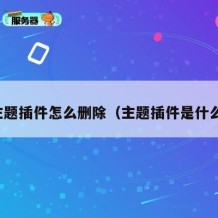 主题插件怎么删除（主题插件是什么）