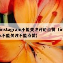 instagram不能关注评论点赞（ins不能关注不能点赞）