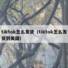 tiktok怎么发货（tiktok怎么发货到美国）