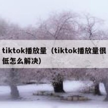tiktok播放量（tiktok播放量很低怎么解决）