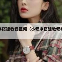 小程序搭建教程视频（小程序搭建教程视频免费）