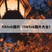 tiktok图片（tiktok图片大全）