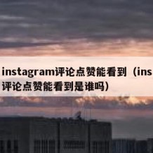instagram评论点赞能看到（ins评论点赞能看到是谁吗）