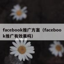 facebook推广方案（facebook推广有效果吗）