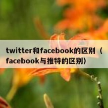 twitter和facebook的区别（facebook与推特的区别）