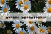 自学开发软件（软件开发自学步骤视频）