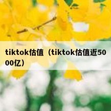 tiktok估值（tiktok估值近5000亿）