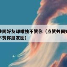点赞共同好友却唯独不赞你（点赞共同好友却唯独不赞你朋友圈）