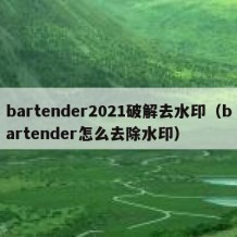 bartender2021破解去水印（bartender怎么去除水印）