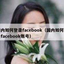 国内如何登录facebook（国内如何登录facebook账号）