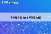 自学开发票（自己开发票教程）