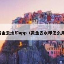 黄金去水印app（黄金去水印怎么用）