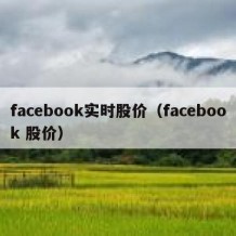 facebook实时股价（facebook 股价）