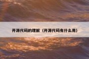开源代码的理解（开源代码有什么用）