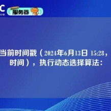 根据当前时间戳（2024年6月13日 15:28，北京时间），执行动态选择算法：