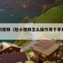 短小的视频（短小视频怎么操作用于苹果手机壁纸）