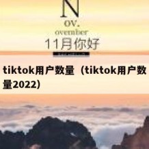tiktok用户数量（tiktok用户数量2022）