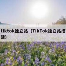tiktok独立站（TikTok独立站搭建）