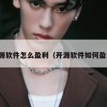 开源软件怎么盈利（开源软件如何盈利）