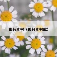 视频素材（视频素材库）