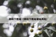 源码下载站（源码下载站建站风险）