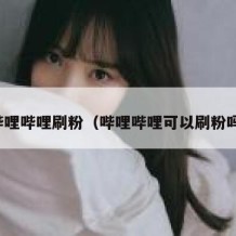 哔哩哔哩刷粉（哔哩哔哩可以刷粉吗）