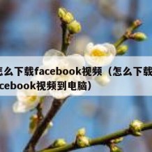 怎么下载facebook视频（怎么下载Facebook视频到电脑）