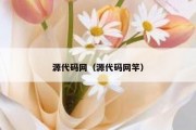 源代码网（源代码网竿）
