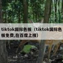 tiktok国际色板（tiktok国际色板免费,在百度上搜）